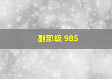 副部级 985